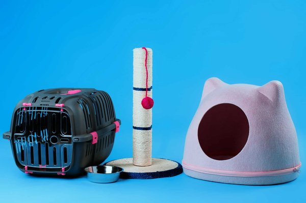 Des gammes étendues : découvrez la diversité des produits disponibles dans les animaleries en ligne