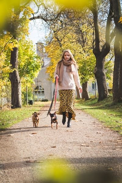 Où trouver une laisse à acheter à son chien ?